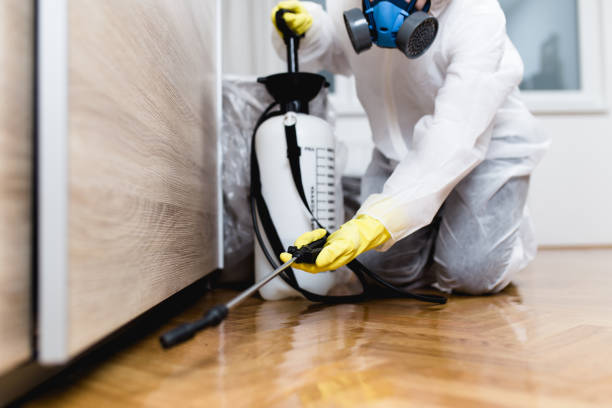 Best Mosquito Control Services  in Morgantown, PA