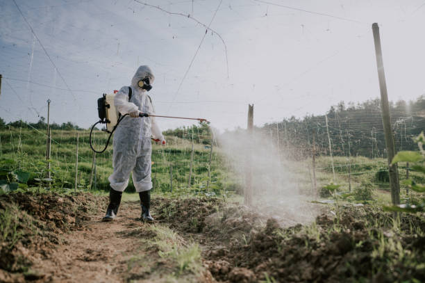 Best Termite Control Services  in Morgantown, PA