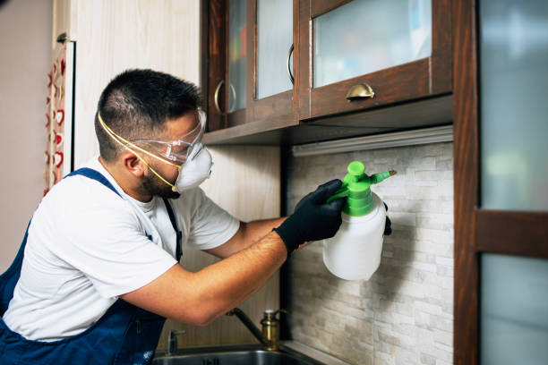 Trusted Morgantown, PA Pest Control Experts