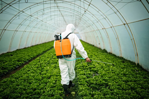 Best Pest Prevention Services  in Morgantown, PA