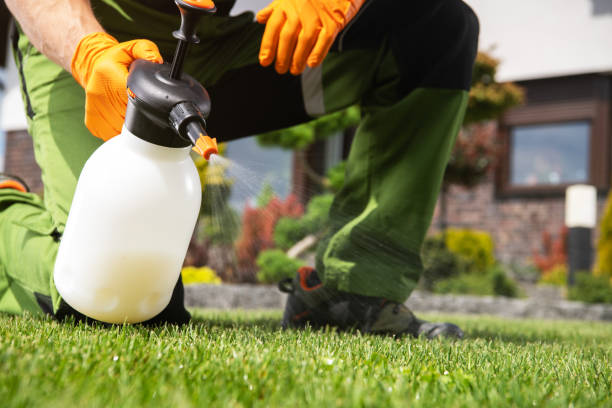 Best Emergency Pest Control  in Morgantown, PA