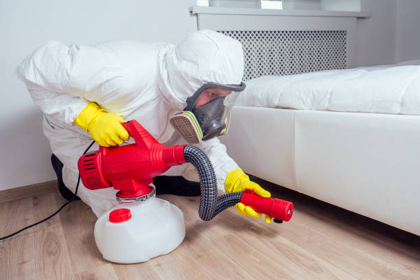 Best Insect Control  in Morgantown, PA