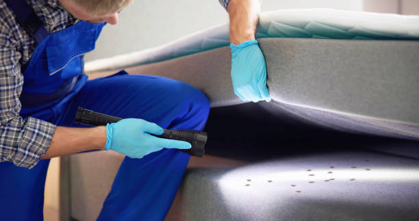 Best Affordable Pest Control Services  in Morgantown, PA