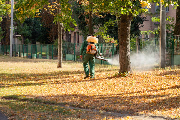 Best Best Pest Control Companies  in Morgantown, PA