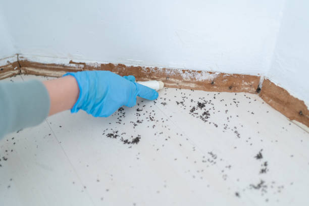 Pest Prevention Services in Morgantown, PA